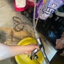 물당구클럽 이미지