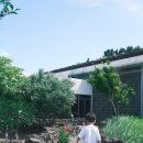 제주식생활문화연구소 | 제주 아이와 가볼만한곳] 볼거리와 체험이 알찼던 제주 민속자연사박물관 후기 🐋 (ft. 다자녀 관람료 무료)