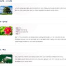 (주)성현산업 | 한우의 고장 그 이상의 역사, 횡성(橫城) 이름의 유래와 변천사