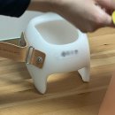 달을보며별을세며 | 한헬스케어, 하니헬멧 :: 1달 후기/ 추천인자리있음 코드공유 추천 시 기프티콘 증정