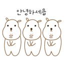 누구나 홀닭 반한 닭 이미지