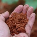 바른메디 이미지