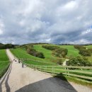 회동목장 이미지