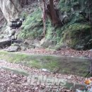 상효동-6 이미지