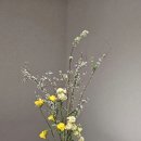 동양꽃꽂이 | 은평구 꽃집 심록플라워스튜디오의 이케바나 키트로 셀프 꽃꽂이 후기