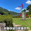 하동야생차박물관 | [하동여행] 하동야생차박물관 한국 차의 시작을 만나는 곳