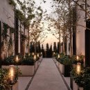 테라피요가(고급) 이미지