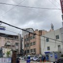 착한동태대구탕
