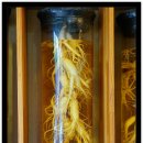 덕수갈비 이미지