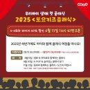 2025 토요키즈클래식 11월 이미지