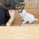 보니또따 이미지