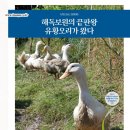 보원농장 이미지