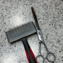 어글리독 이미지