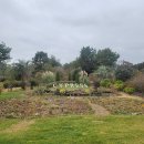 레몬비 남동점 | 제주 골프장! 고속 그린에 흔들린 사이프러스CC 남동코스 후기 (사이프러스 골프&amp;리조트, Cypress CC)