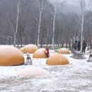 기상목장 이미지