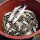 마니산펜션 이미지