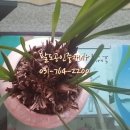 팔도부동산공인중개사사무소 이미지