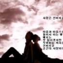 사랑은 신비로 움이여/두 안 이미지