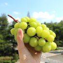 청풍명월 이미지