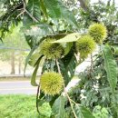 지산농장2 이미지