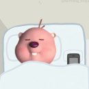 행복을줄개 | 소소한 행복을 느낄 줄 아는 인간이 되자