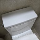 서대신부백자연애 이미지