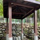 뒷골참샘 이미지