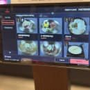 등짝본점 이미지