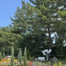 좋구먼 토속음식 | 내돈내산 속초 감자바우 감자옹심이 오징어회덮밥 후기