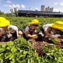 윤가네 농장 이미지