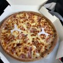 케이디메디컬안성지점 | 안성공도맛집 선명희피자 속편한 피자 포장해서 별보러가기