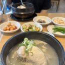 신월초등학교 | 대구 삼계탕 맛집 [백제삼계탕] 솔직 후기 🍲🐔