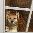 네모네모 이미지