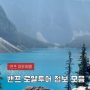 여름 3박 4일 록키투어 가이드, 선택관광, 밀플랜, 숙소, 꿀팁 정보 | 캐나다 9월 로얄투어 블루버드여행사