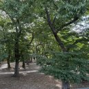 9월19일 토요일 야간면학모습 이미지