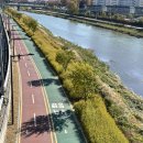 등나무근린공원 | UE17 언리밋에디션 서울아트북 페어 첫 날(금요일) 후기