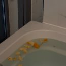 (주)랩토피아 | 안녕하세요 제 나이 서른다섯 살 바다가 그리워 눈물이 나올 나이입니다 시간이 참 빠르네요 제가...
