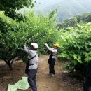 원동면사무소 이미지