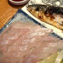 오징어 세상 이미지