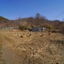 송학리마애여래좌상 이미지