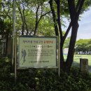 증산공원 게이트볼장 이미지