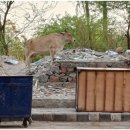 KFC 당구장 이미지