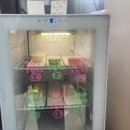 크림치즈갈매