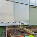 월드농장 이미지