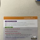데이즈데코즈