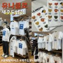 [제주 유니클로] 제주도남점 유니클로 귤메달 티셔츠 구매후기