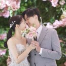 연제구-020 Daum카페