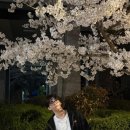 낙원미용실 네이버블로그