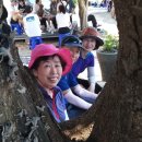 태안군 관광안내소 이미지