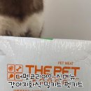 더펫 이미지